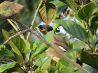 Dubai - Oman - Muscat - Spaziergang am Strand