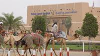 Dubai - Kamelrennstrecke