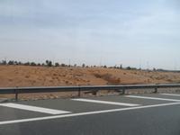 Auf dem Weg nach Al Ain