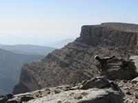 Jebel Shams