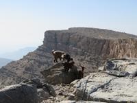 Jebel Shams