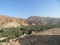 Auf dem Weg nach Nizwa