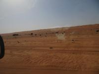 Auf dem Weg zum Wüstencamp