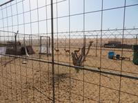 Auf dem Weg zum Wüstencamp