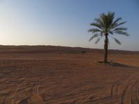 Wahiba Sands