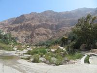 Wadi Tiwi