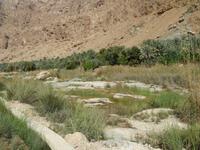Wadi Tiwi