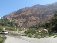 Wadi Tiwi