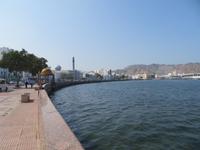 Stadtrundfahrt Muscat