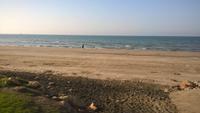 Qurum Beach