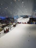 0417_Dubai; Mall of Emirates