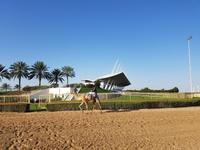 0502_Dubai; Kamelrennbahn