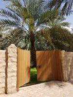 0517_Al Ain; Palmengarten
