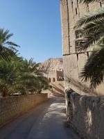0622_Oman; Birkat al Mauz
