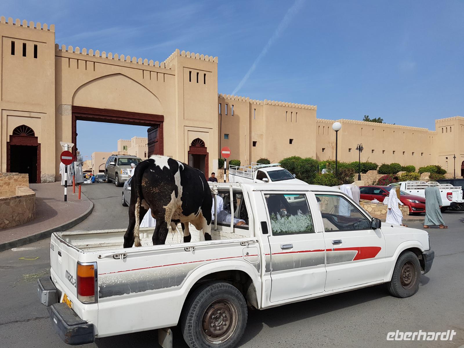 0701_Nizwa; Viehmarkt