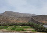 0733_unterwegs zum Wadi Ghul