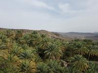 0746_Misfat Al Abreen.