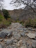 0805_Wadi Habib
