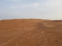 0821_Dune Bashing
