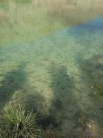 0902_Wadi Bani Khalid