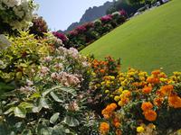 1205_Muscat; Al Alam Palast