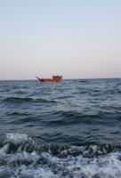 1221_Muscat; Dhaufahrt