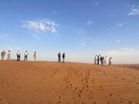 Bei der Wüstensafari in der VAE