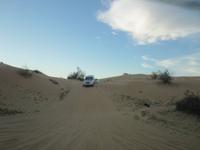 Bei der Wüstensafari in der VAE