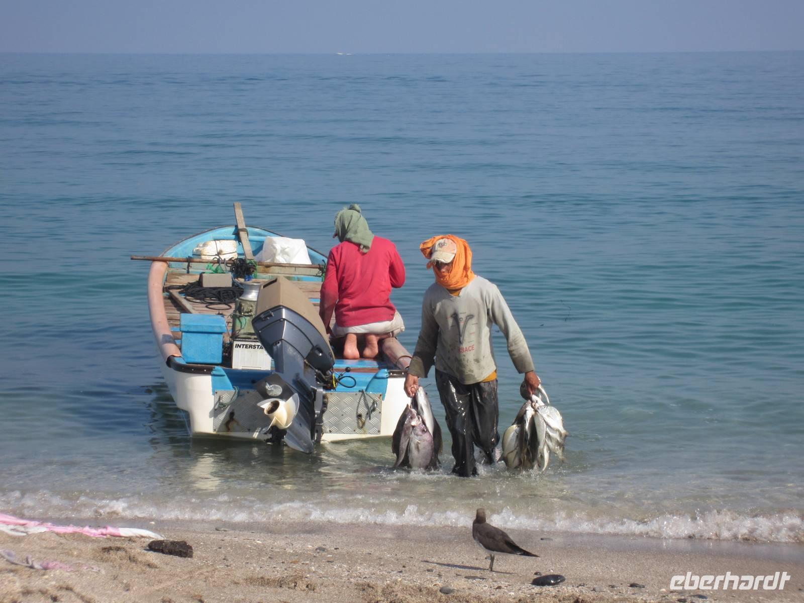 Auf dem Fischmarkt in Barka
