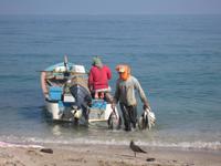 Auf dem Fischmarkt in Barka