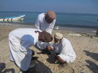 Beim Muscheln suchen am Strand von Barka