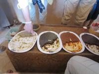 Wir verkosten die traditionelle Süßspeise Halwa