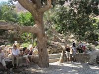 Picknick im Wadi Tiwi