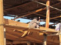 Dhau-Werkstatt in Sur