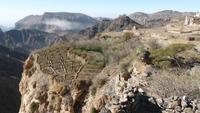 Jebel Akhdar Gebirge: Terrassenfelder