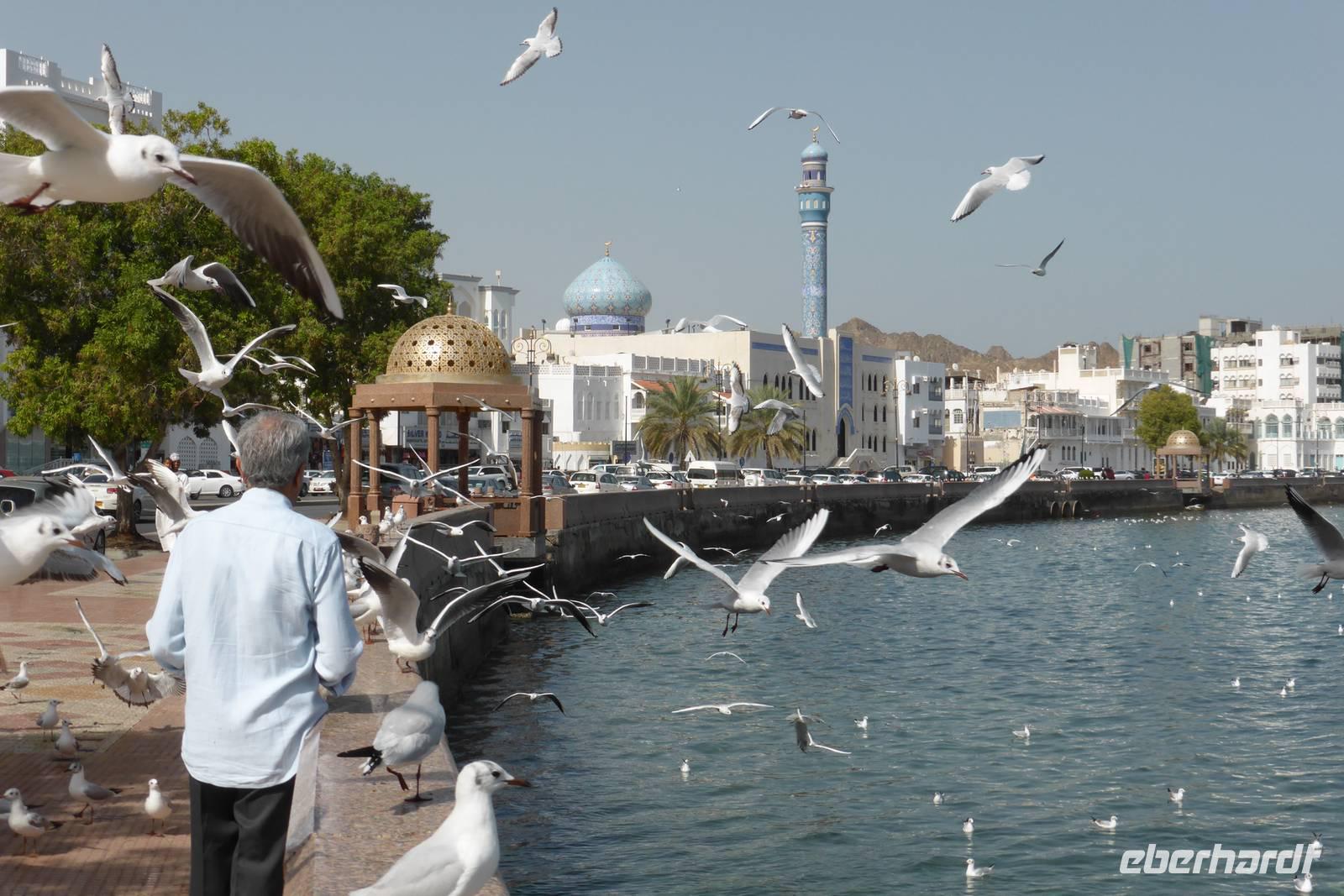 Maskat: Bucht von Muttrah