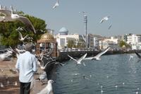 Maskat: Bucht von Muttrah