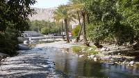 An der Quelle Ain Al Thowarah in Nakhl