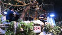 Aquarium Dubai Mall