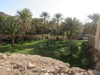 Birkat Al Mauz