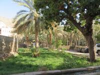 Birkat Al Mauz