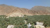 Birkat Al Mauz