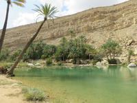 Dubai - Oman - im Wadi Bani Khalid -