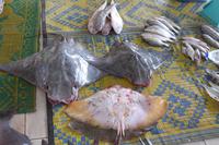 Fischmarkt Sur