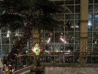 Hyatt Hotel
