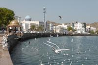 Maskat: Bucht von Muttrah