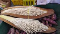 Nizwa: auf dem Markt