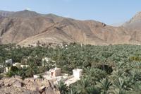 Oase Birkat Al Mauz