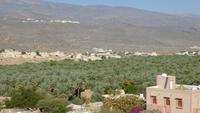 Oasendorf Al Hamra