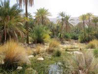 Wadi Bani Khalid